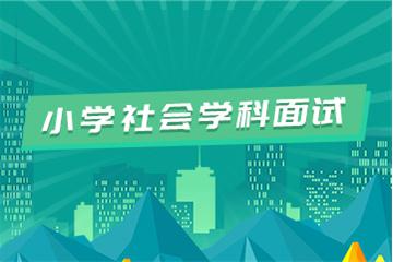 小學(xué)教師資格證考試面試視頻教程（社會科學(xué)）